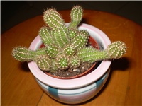 6ae6ca61-Picture 1204.jpg